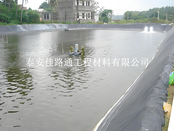 魚蝦養(yǎng)殖防滲膜選黑還是白？掌握這些原則不選錯(cuò)